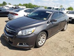 Salvage cars for sale at Hillsborough, NJ auction: 2013 Chevrolet Malibu 2LT