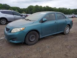 Salvage cars for sale at Conway, AR auction: 2010 Toyota Corolla Base