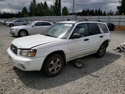 Salvage cars for sale at Graham, WA auction: 2004 Subaru Forester 2.5XS