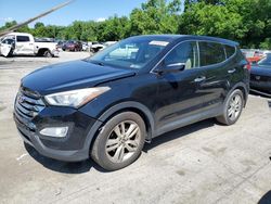 Hyundai Santa fe Sport Vehiculos salvage en venta: 2013 Hyundai Santa FE Sport