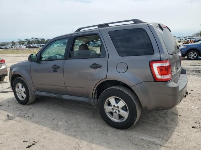 2010 Ford Escape XLT