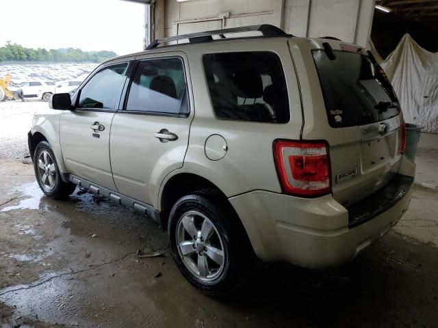 2010 Ford Escape Limited