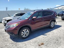 Salvage cars for sale from Copart Albany, NY: 2014 Honda CR-V EXL