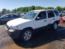 Ford Escape xlt Vehiculos salvage en venta: 2005 Ford Escape XLT