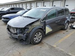 Salvage cars for sale at Louisville, KY auction: 2014 Honda Odyssey EX