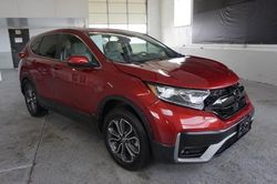 Honda salvage cars for sale: 2021 Honda CR-V EX
