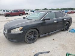Salvage cars for sale at San Antonio, TX auction: 2014 Nissan Maxima S