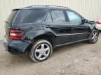 2008 Mercedes-Benz ML 350