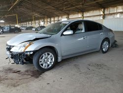 Salvage cars for sale at Phoenix, AZ auction: 2011 Nissan Altima Base