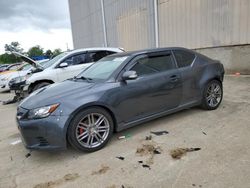Salvage cars for sale from Copart Lawrenceburg, KY: 2011 Scion TC