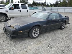 Salvage cars for sale from Copart Graham, WA: 1989 Pontiac Firebird