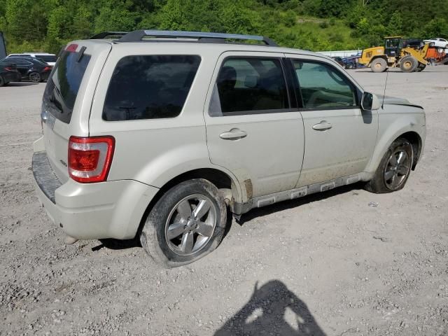 2009 Ford Escape Limited