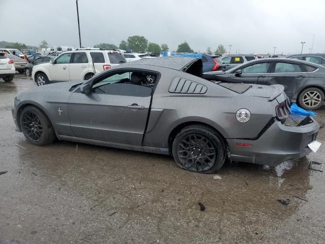 2013 Ford Mustang