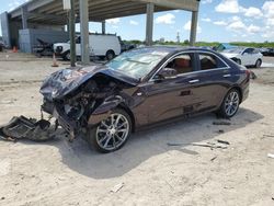 Vehiculos salvage en venta de Copart West Palm Beach, FL: 2020 Cadillac CT4 Premium Luxury