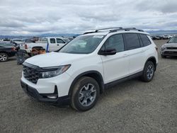 Honda Passport salvage cars for sale: 2023 Honda Passport Trail Sport