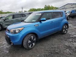 Salvage cars for sale from Copart Albany, NY: 2016 KIA Soul +