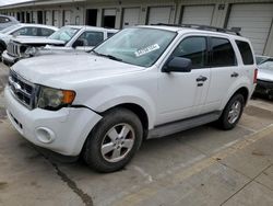 Ford Escape XLT salvage cars for sale: 2010 Ford Escape XLT