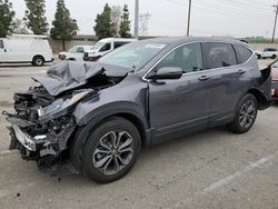 Salvage cars for sale from Copart Rancho Cucamonga, CA: 2022 Honda CR-V EX