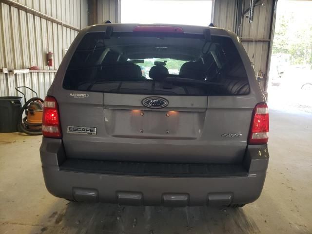 2008 Ford Escape XLT