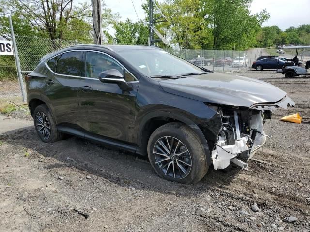 2024 Lexus NX 350 Premium