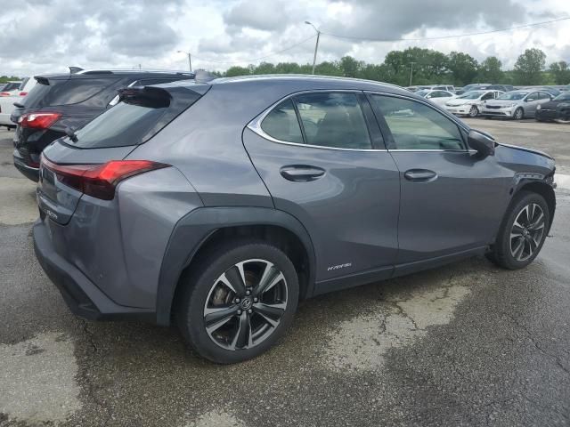 2019 Lexus UX 250H