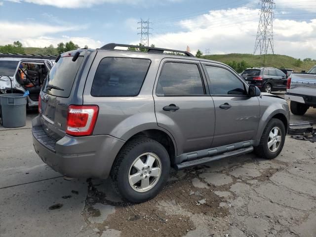 2012 Ford Escape XLT