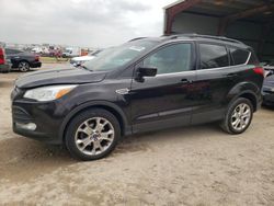 Salvage cars for sale at Houston, TX auction: 2013 Ford Escape SE