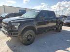 2019 Ford F150 Raptor