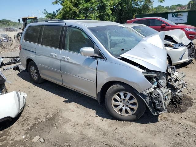 2010 Honda Odyssey EXL