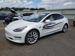 Salvage cars for sale at Pennsburg, PA auction: 2019 Tesla Model 3