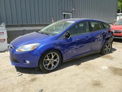 Ford Focus SE salvage cars for sale: 2014 Ford Focus SE