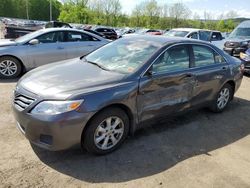 Salvage cars for sale at Marlboro, NY auction: 2010 Toyota Camry Base