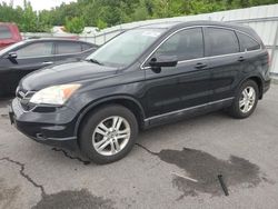 Salvage cars for sale from Copart Assonet, MA: 2010 Honda CR-V EXL