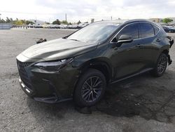 Salvage cars for sale at North Las Vegas, NV auction: 2024 Lexus NX 350H Base