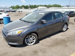 Salvage cars for sale at Pennsburg, PA auction: 2016 Ford Focus SE