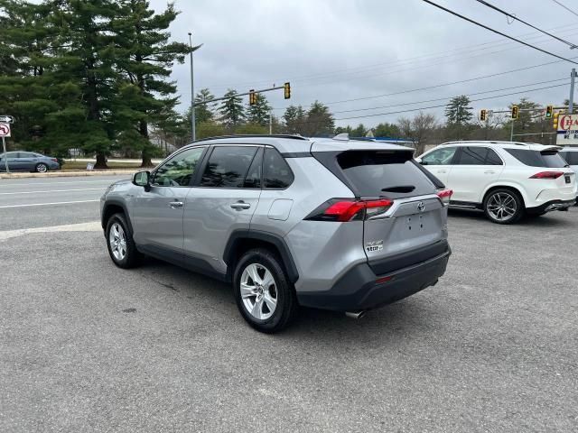 2019 Toyota Rav4 XLE