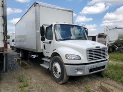 Salvage cars for sale from Copart Glassboro, NJ: 2019 Freightliner M2 106 Medium Duty