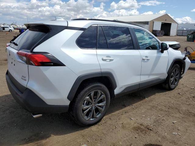 2023 Toyota Rav4 XLE Premium