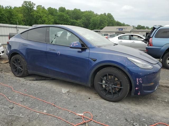 2020 Tesla Model Y