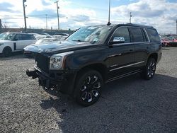 Salvage cars for sale at Hillsborough, NJ auction: 2020 GMC Yukon Denali