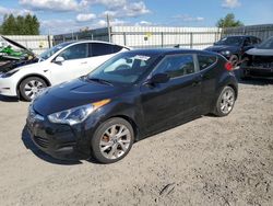 Salvage cars for sale at Arlington, WA auction: 2016 Hyundai Veloster