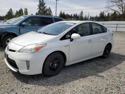 Vehiculos salvage en venta de Copart Graham, WA: 2014 Toyota Prius