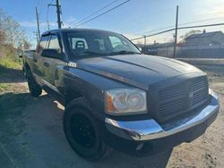 Salvage trucks for sale at Brookhaven, NY auction: 2005 Dodge Dakota Quad SLT