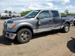 Salvage cars for sale at Hillsborough, NJ auction: 2010 Ford F150 Supercrew
