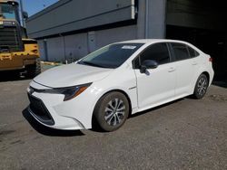 Salvage cars for sale from Copart Pasco, WA: 2021 Toyota Corolla LE