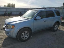 Ford Escape salvage cars for sale: 2009 Ford Escape Hybrid