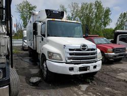 Salvage trucks for sale at Marlboro, NY auction: 2014 Hino Hino 338