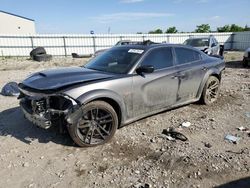 Salvage cars for sale from Copart Earlington, KY: 2023 Dodge Charger Scat Pack