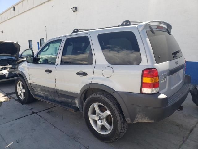 2002 Ford Escape XLT