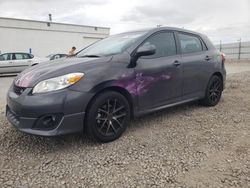Salvage cars for sale at Farr West, UT auction: 2010 Toyota Corolla Matrix S